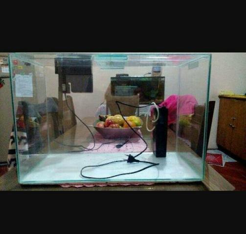 Aquario + filtro oferta