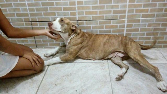 Doação responsável