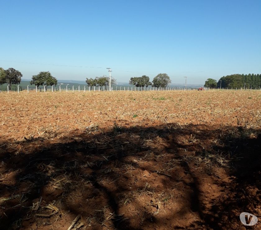 Sítio Para Arrendar para Plantio Maracujá