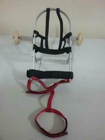 Cadeirinha para cachorro de pequeno e medio porte