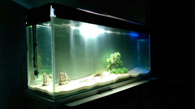 Lindo aquário 180 litros com tudo