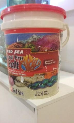 Sal red sea coral pro salt