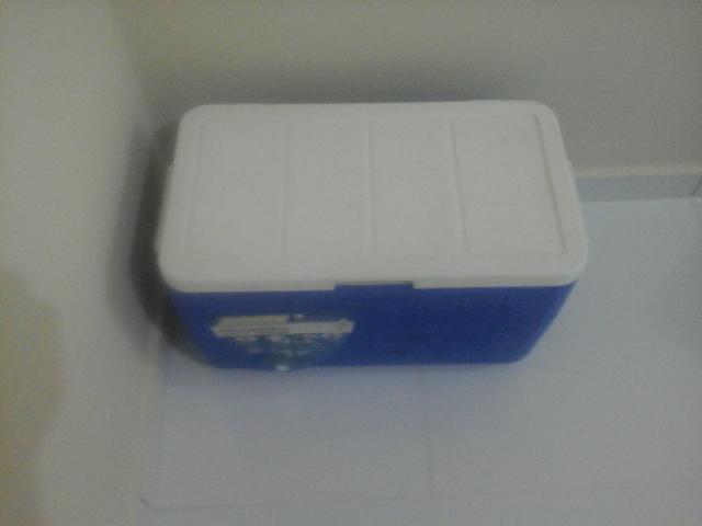 Vendo essa cx termica