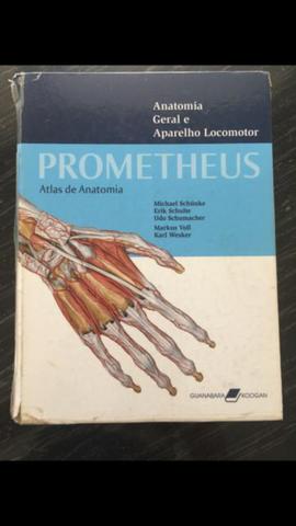 Atlas de Anatomia Prometheus