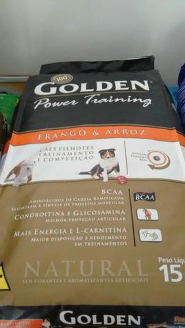 Golden Power Training 15kg