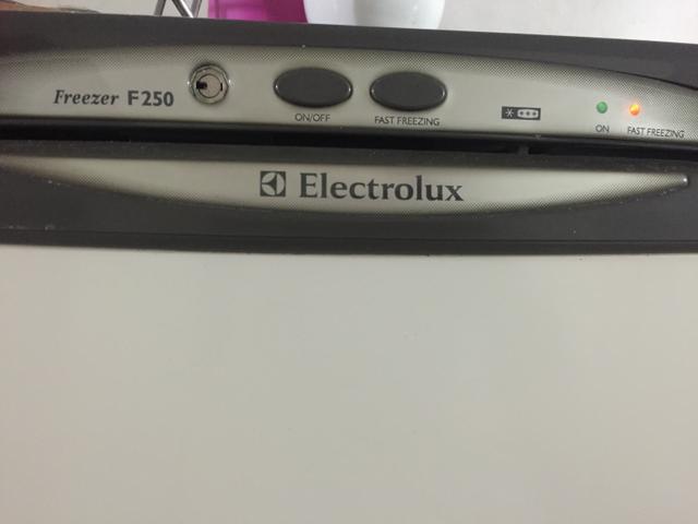 Freezer Electrolux F250