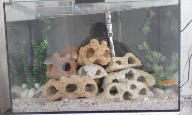 Rochas pedras artificiais de aquários para corais. Doces e
