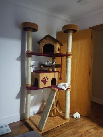 Torre arranhador de gatos