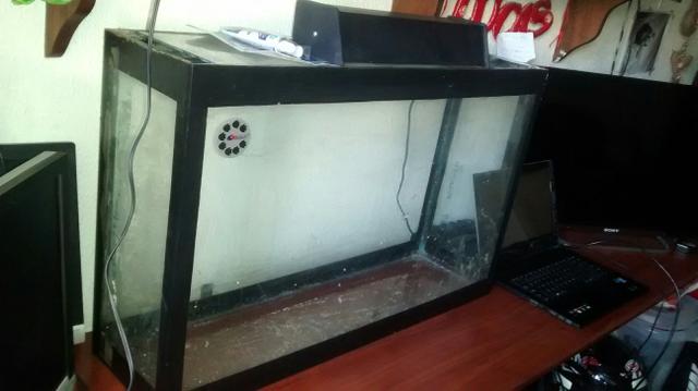 Aquario completo 84 litros