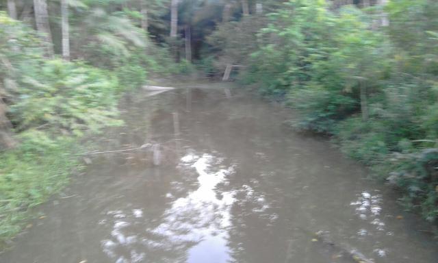 Terreno aprt 5mil igarapes acaizal tanque peixe