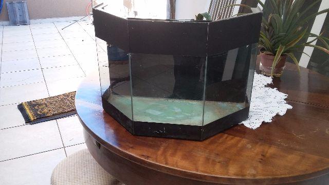 Aquario 40 litros