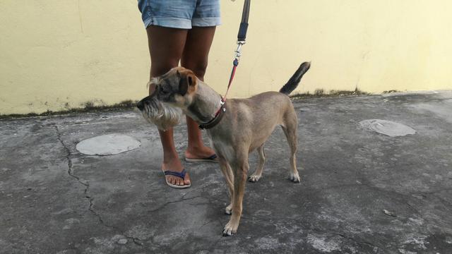 Doação responsável