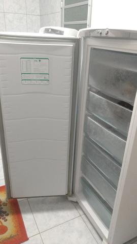 Freezer consul vertical