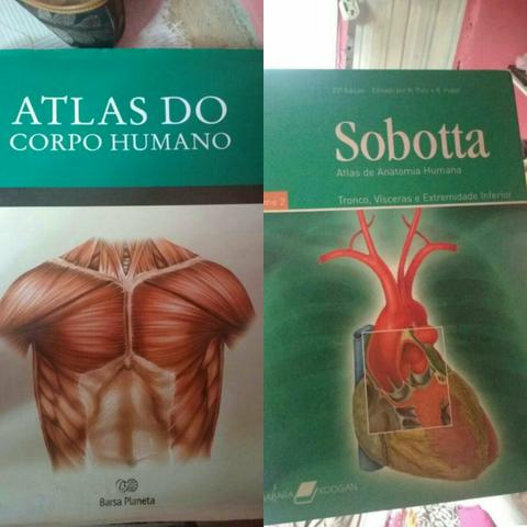 Vendo Atlas do corpo humano e Sabotta Vol.2