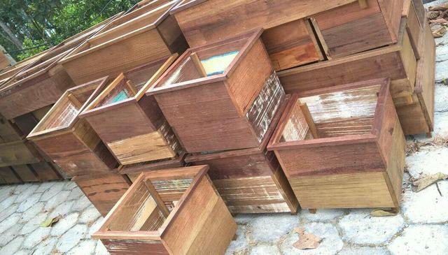 Cachepots em madeira de demolição nobre