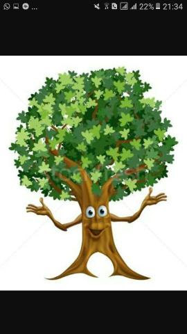 Poldagem de árvores 