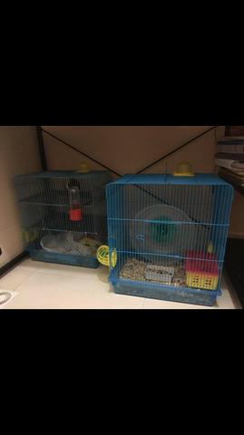 2 gaiolas Hamster com tubos + bola de passeio
