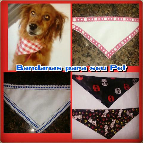 Bandanas pet