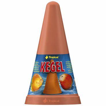 Cone de Desova para Discos Tropical Kegel