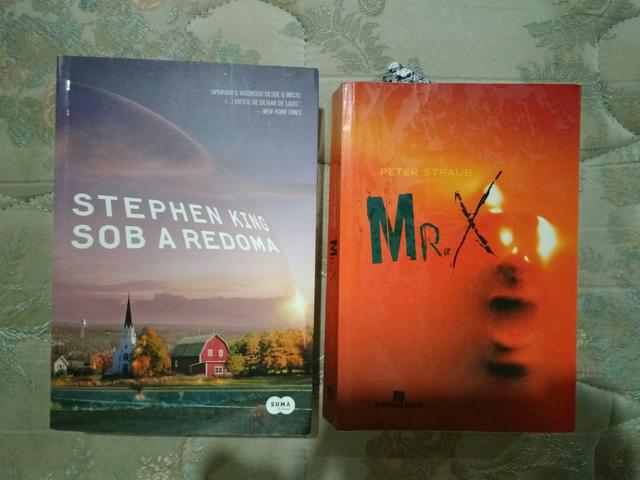 Livros Sob a Redoma e Mr. X por R$ 