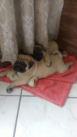 Somente essa semana!