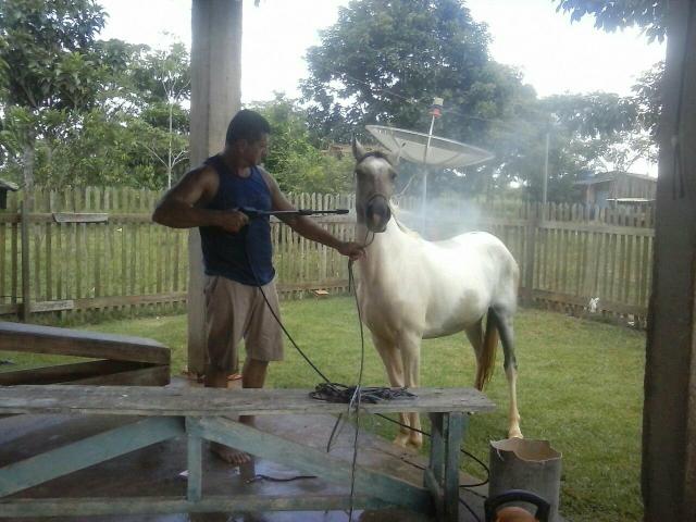 Vender rápido! motivo pelo qual vou construir uma horta