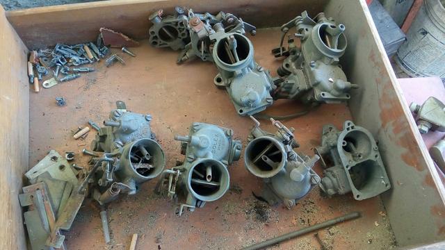 Carnuradores de fusca