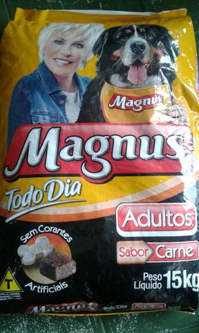 Magnus Todo Dia 