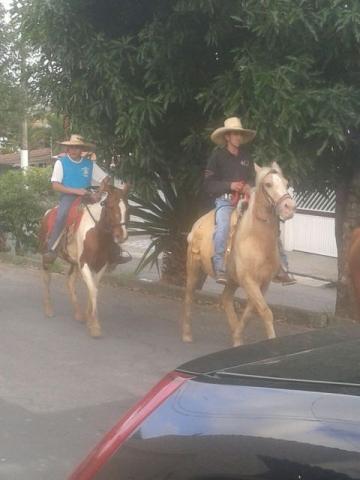 Maquina, cavalo muito bom, breganho