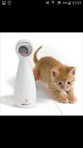 Laser cat toy bolt brinquedo gato