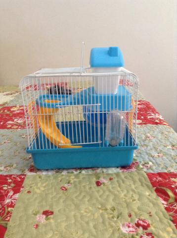 Casinha de hamster