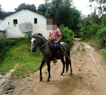 Cavalo Mangalarga Marchador