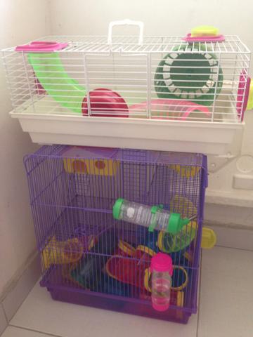 2 gaiolas para hamster