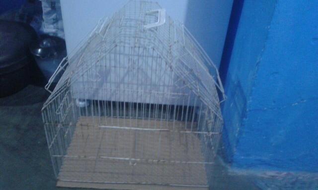 Gaiola pássaros e roedores