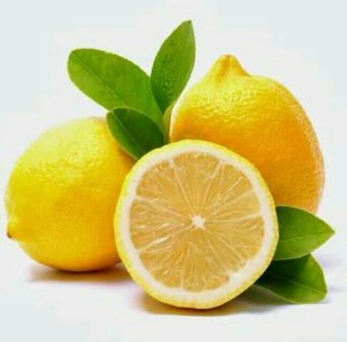Muda de limão siciliano