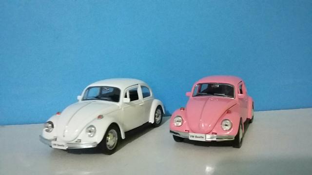 Miniaturas fusca