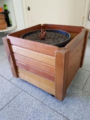 Cachepô de madeira, com rodinhas e com vaso para plantas