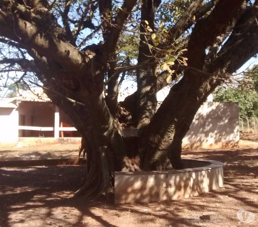 Vendo Chácara na cidade de Araçatuba