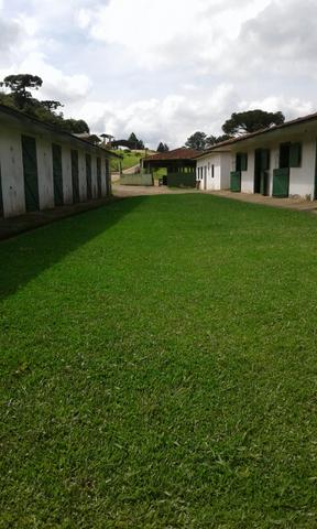 Cabanha e centro de treinamento em Sao Jose dos Pinhais