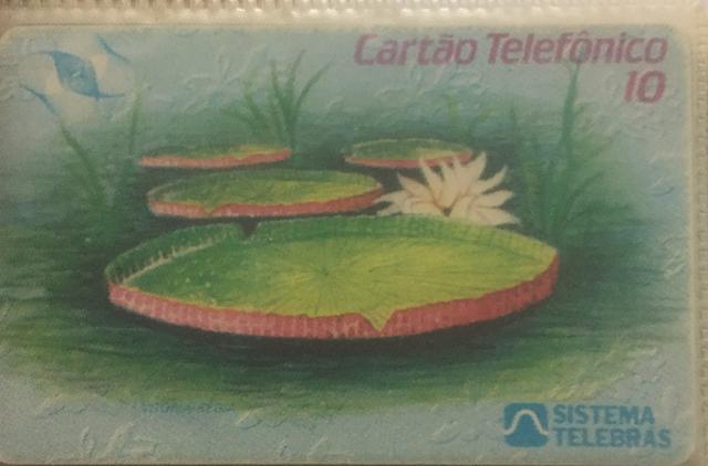 Cartão Telefônico Vitória Regia