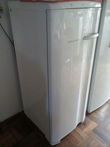 Freezer Electrolux