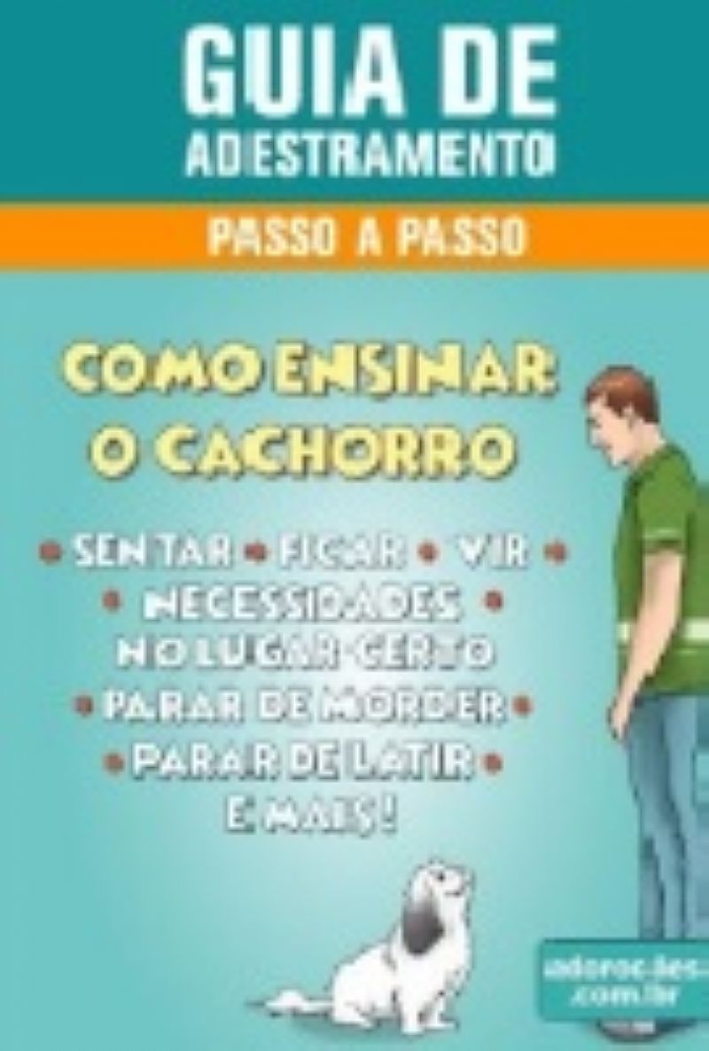 Guia de adestramento passo a passo