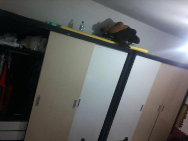 2 guarda roupa gigante por 