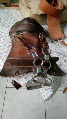 Arreio Freio de ouro