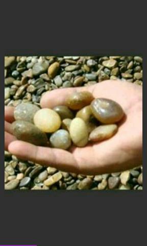 Rei do seixo 5metros 440 reais