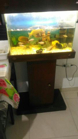 Aquário completo
