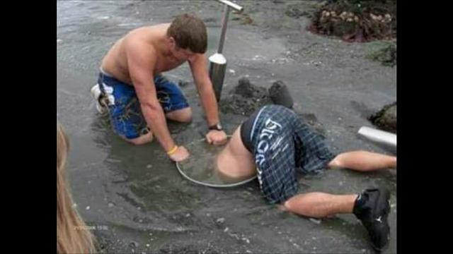 Preço baixo apartir $150