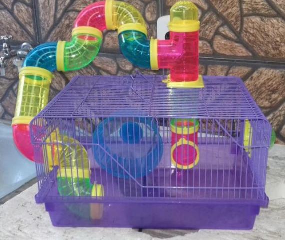 Gaiola Para Hamster + Rodinha de Exercícios