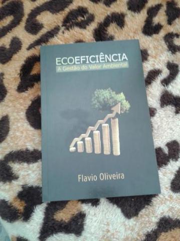 Livro Ecoeficiência a Gestão