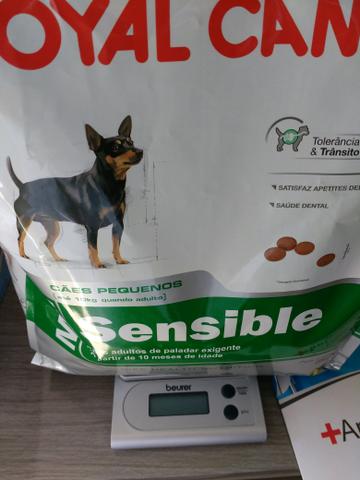 Meio kg de ração royal canin mini sensible